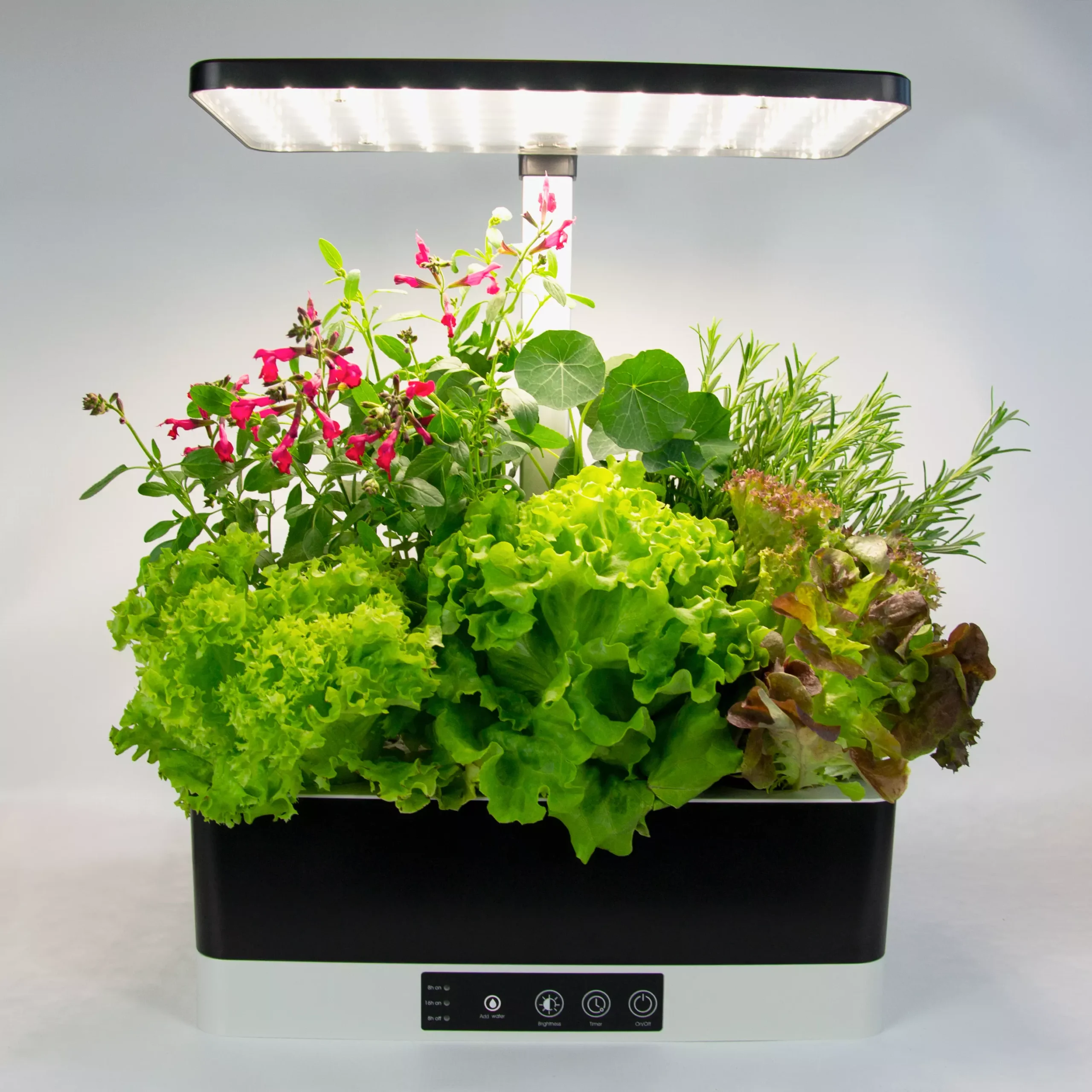 bevroren gouden Succesvol Ogród hydroponiczny z lampą do uprawy roślin - Sklep Mr. Light
