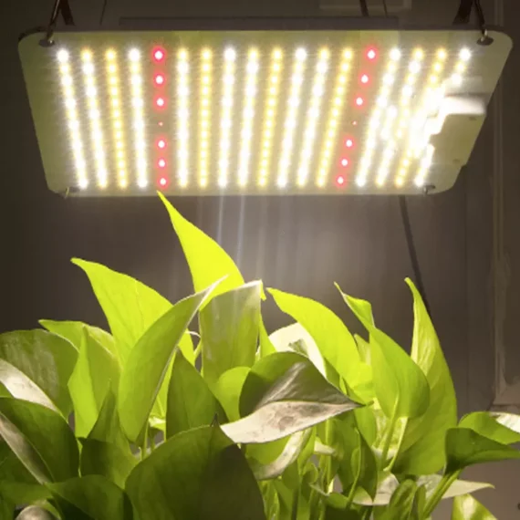 LAMPA LED GROW LIGHTSTAR+ DO UPRAWY ROŚLIN GROWBOX 100W