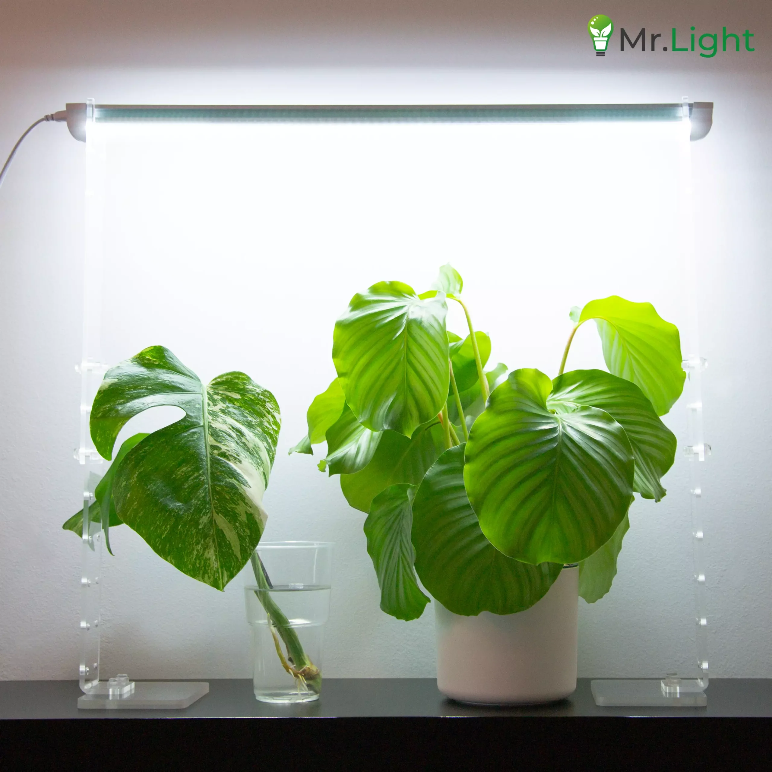 Floralight T5 LED Full-Spectrum Tabletop Grow-Light Stand