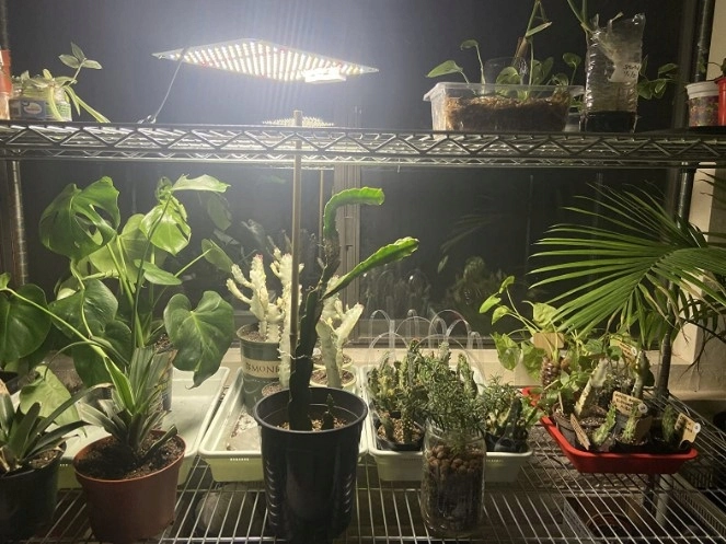 lampa led grow do uprawy roślin growbox regulacja mocy