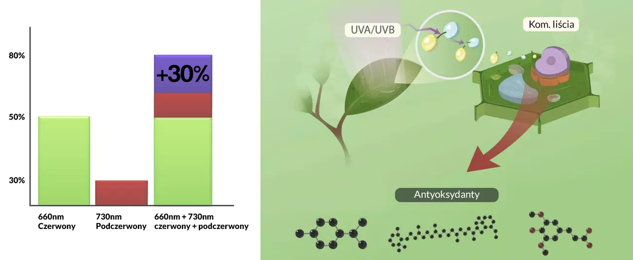 Lampa do roślin grow led full spectrum 90cm