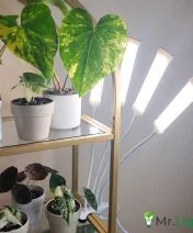 Lampa uprawowa grow z klipsem do wzrostu roślin