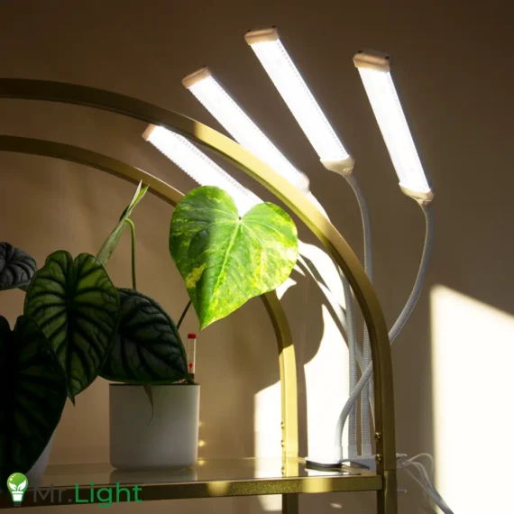 Lampa uprawowa grow z klipsem do wzrostu roślin