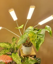 Lampa uprawowa grow z klipsem do wzrostu roślin