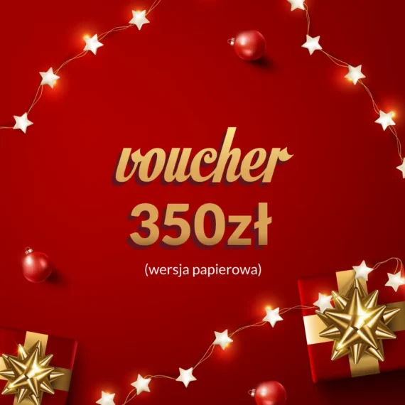 VOUCHER ŚWIĄTECZNY 350ZŁ MR. LIGHT